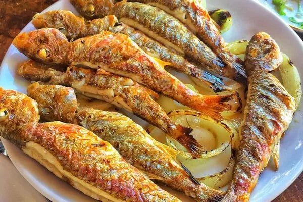 Kaan Olta Balık Restorantı - Resim 3