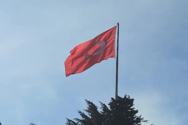İstanbul Üniversitesi - Resim 16