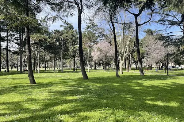 İstanbul Üniversitesi - Resim 5