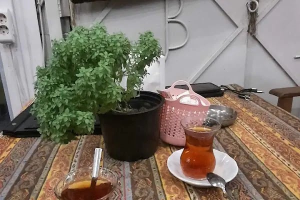 UMUT CAFE - Resim 10