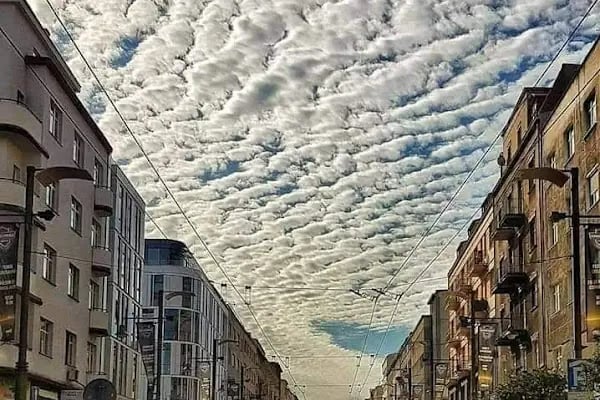 Ezo Gelin Plaza Ve Düğün Salonları - Resim 17