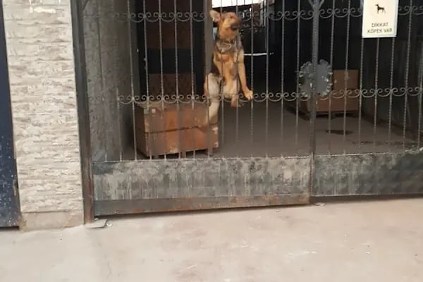 SON ADIM GERİ DÖNÜŞÜM SAN - Resim 5