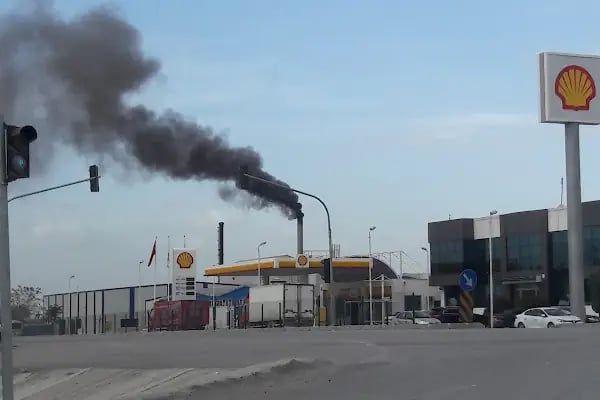 Paşaköy Köfte ve Izgara Salonu - Resim 16