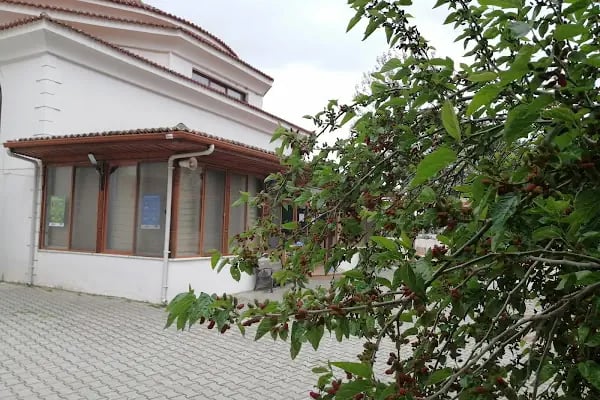 AKYAKA MAHALLESİ CAMİİ - Resim 7