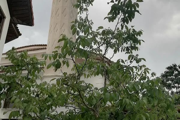 AKYAKA MAHALLESİ CAMİİ - Resim 15