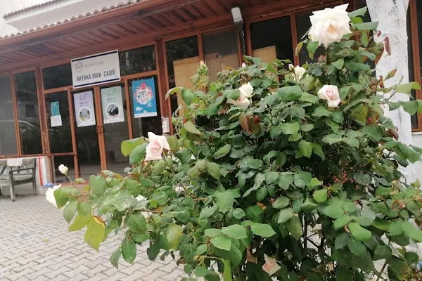 AKYAKA MAHALLESİ CAMİİ - Resim 6
