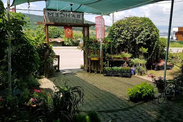 Sihirli Dünyam Oyun Parkı &amp; Cafe - Resim 6