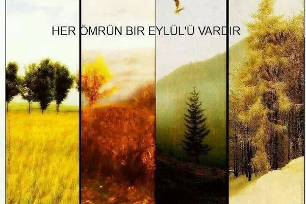 Kahramanmaraş Organize Sanayi Bölgesi Müdürlüğü - Resim 8