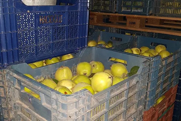 Hacıoğlu Kardeşler Soğuk Hava Deposu - Resim 10