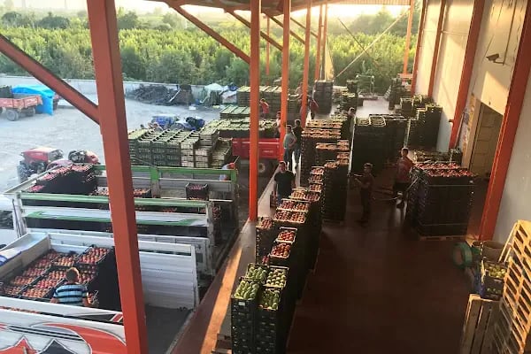 Hacıoğlu Kardeşler Soğuk Hava Deposu - Resim 4