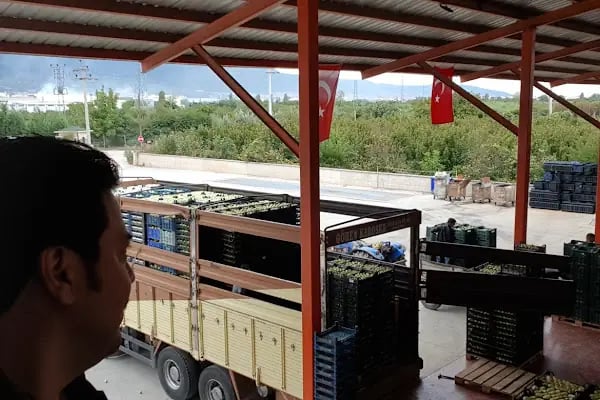 Hacıoğlu Kardeşler Soğuk Hava Deposu - Resim 9