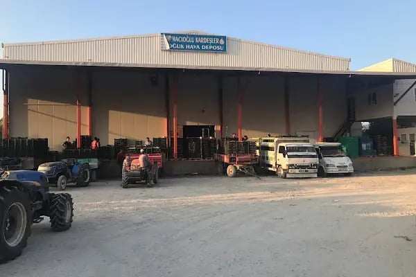 Hacıoğlu Kardeşler Soğuk Hava Deposu - Resim 5