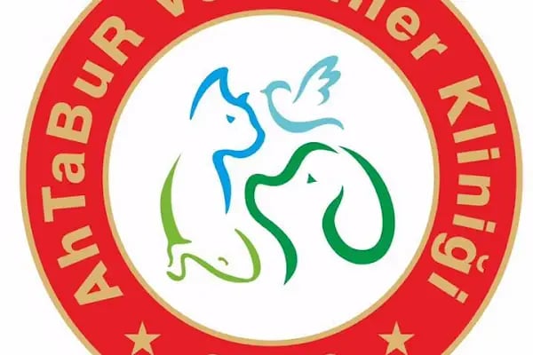 Ahtabur Veteriner Kliniği(pet,egzotik,kuş Kliniği) - Resim 17