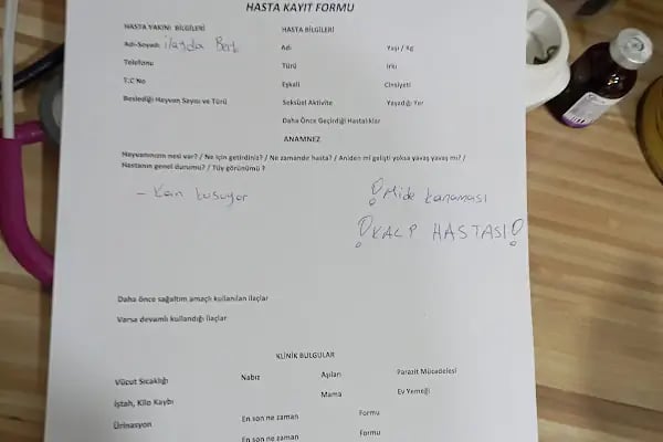 Ahtabur Veteriner Kliniği(pet,egzotik,kuş Kliniği) - Resim 14