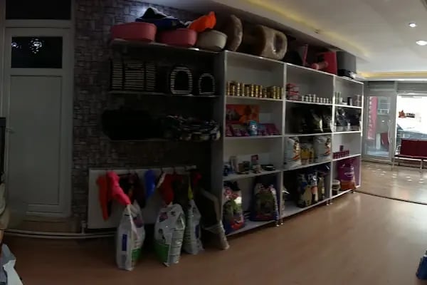 Ahtabur Veteriner Kliniği(pet,egzotik,kuş Kliniği) - Resim 10