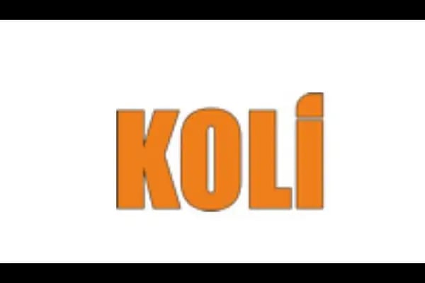 HerBoyKoli.com | Koli ve Kutu Üretim Fabrikası - Resim 18