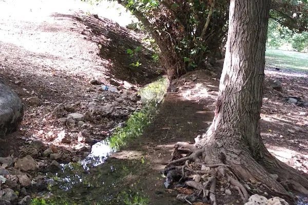 Çermik Melike Belkıs Kaplıcaları - Resim 20