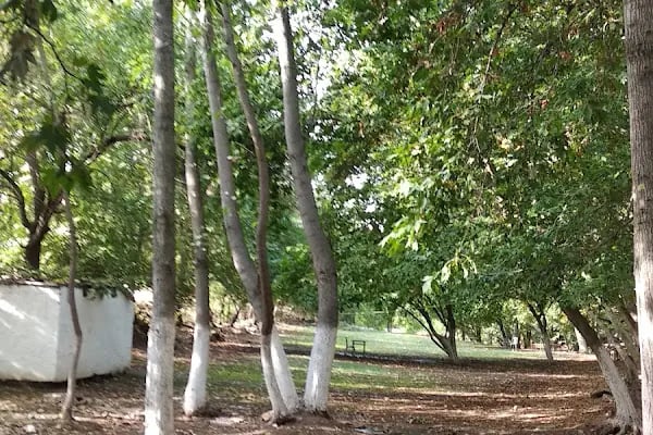 Çermik Melike Belkıs Kaplıcaları - Resim 17