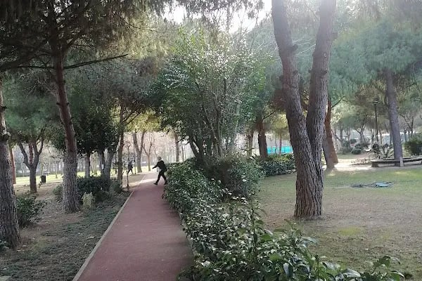 Özgürlük Parkı Amfi Tiyatro - Resim 5
