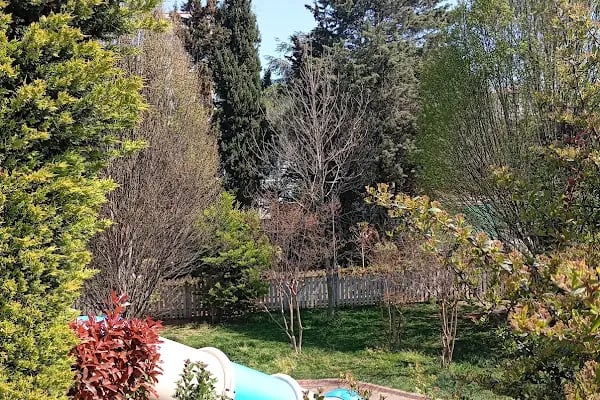 Özgürlük Parkı Amfi Tiyatro - Resim 14