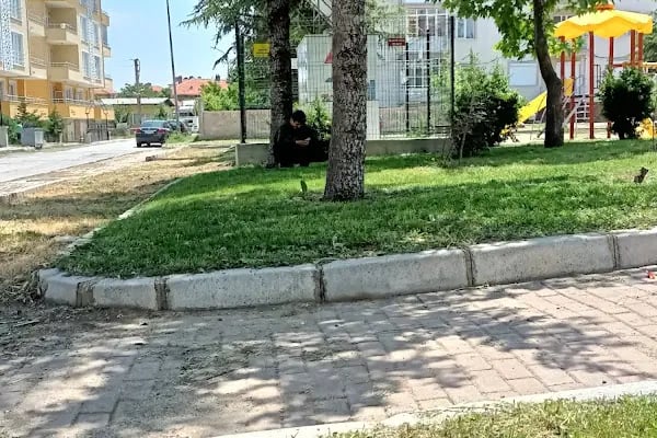 Akşehir Stadyumu - Resim 19
