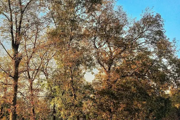 Samsun Adventure Park - Resim 18