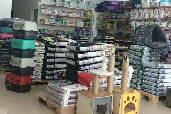 Eko pet shop - Resim 18