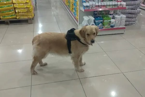 Eko pet shop - Resim 2