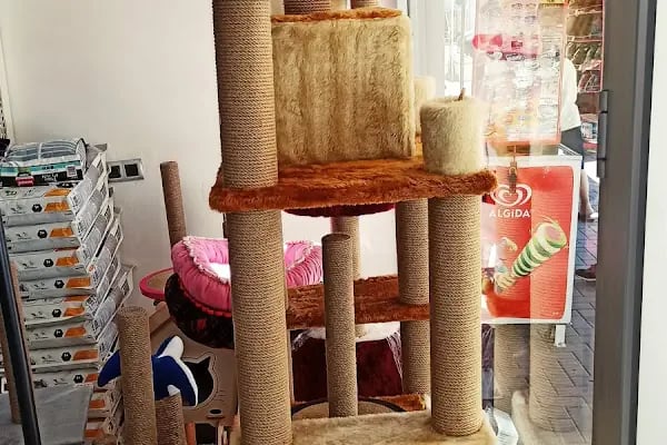 Eko pet shop - Resim 4