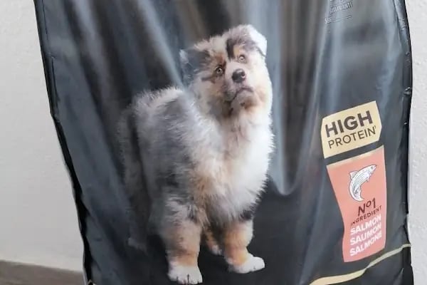 Eko pet shop - Resim 11