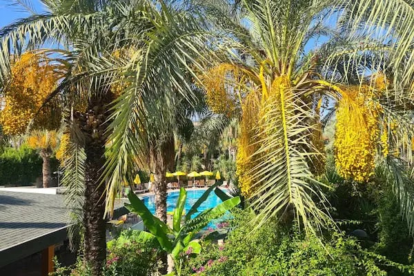 Calimera Hane Garden Hotel - Resim 8