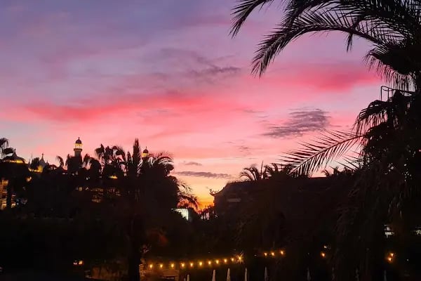 Calimera Hane Garden Hotel - Resim 13