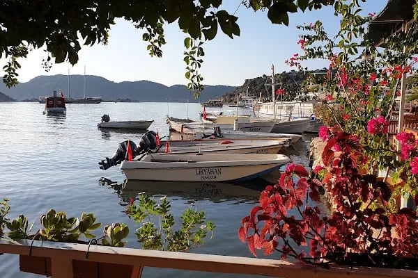 Teras Paradise Pansiyon &amp; Restaurant - Resim 3