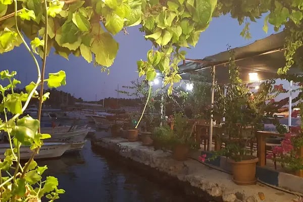 Teras Paradise Pansiyon &amp; Restaurant - Resim 15