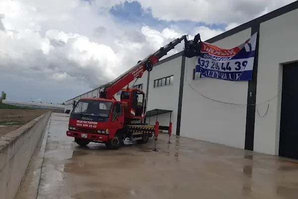 Arılar Akyurt Vinç - Resim 7