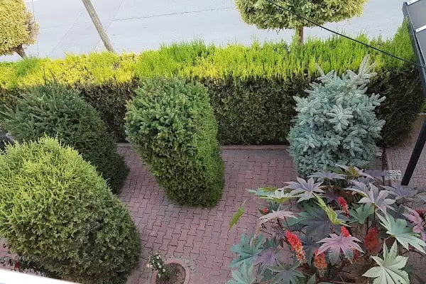 Kurtlar vadisi düğün salonu - Resim 6