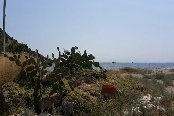 ASPAT BEACH CLUB RESTAURANT - Resim 12