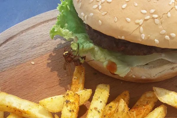 ASPAT BEACH CLUB RESTAURANT - Resim 1