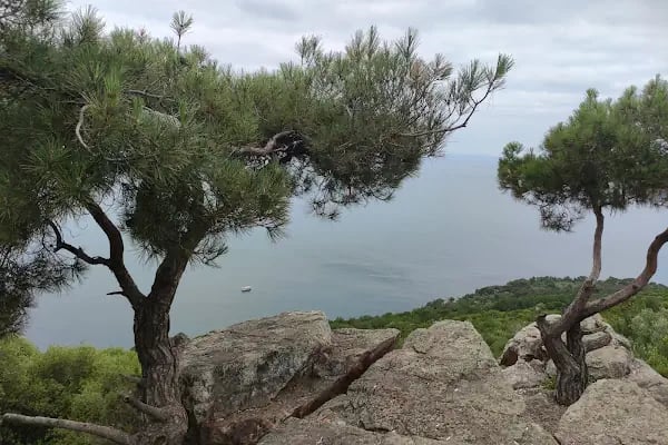 Büyükada Kültür Ve Yardımlaşma Dern. - Resim 3