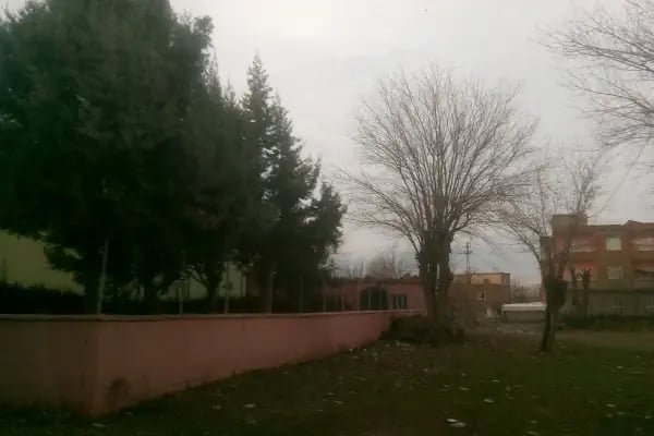 Aralik Camii Ve Taziye Evi - Resim 6