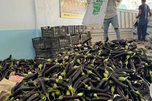 Mezra Ticaret ve Komisyon - Mezra patlıcanı Birecik patlıcanı satış noktası - Resim 13