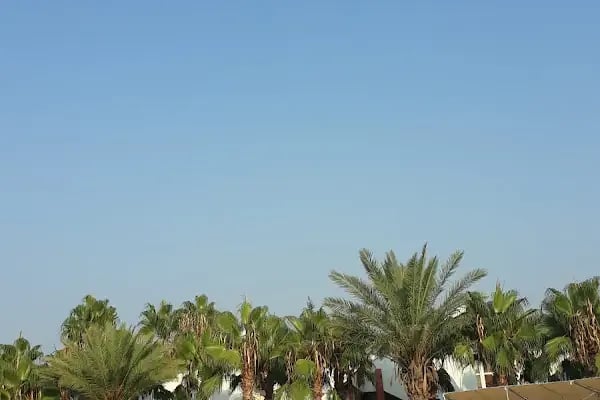 Ato Tatil Sitesi - Resim 2