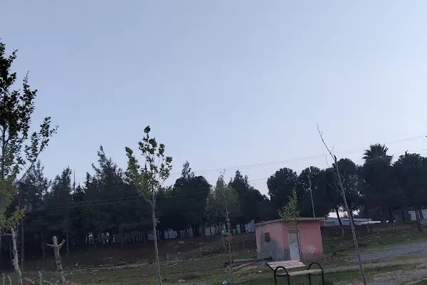 75. Yıl İlkokulu - Resim 6