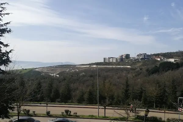Kocaeli Üniversitesi Fen Edebiyat Fakültesi - Resim 18