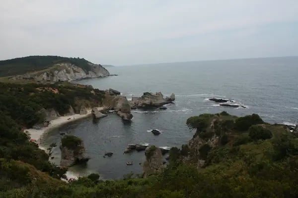 Non Stop Beach - Resim 16