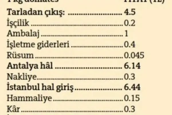Serbest Muhasebeci Mali Müşavir Cengiz Türk - Resim 9