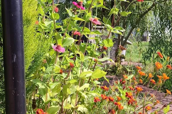 Safari Park 2 Sitesi - Resim 7