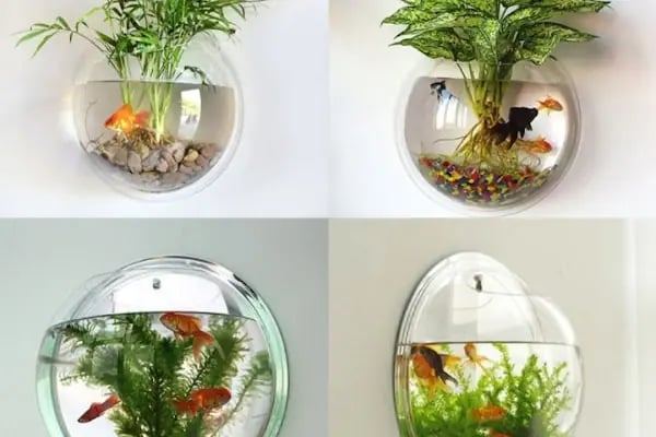 Tropical Petshop 2 - Resim 8