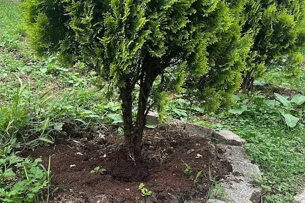 Söğütlü TAKSİ DURAĞI - Resim 17