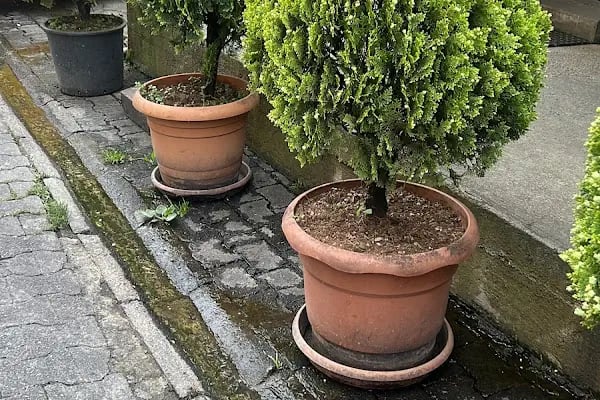 Söğütlü TAKSİ DURAĞI - Resim 15
